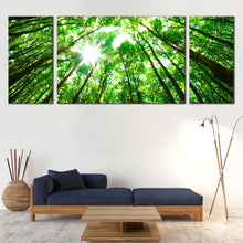 Load image into Gallery viewer, Autumn  Trees  Canvas  Wall  Art  Looking  Up  Green  Trees  Branches  Canvas  Set  White  Sky  Sunrise  Looking  Up  Living  Room  3  Piece  Canvas  Print In Living Room
