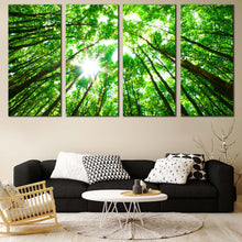 Load image into Gallery viewer, Autumn Trees Canvas Wall Art Looking Up Green Trees Branches Canvas Set White Sky Sunrise Looking Up  4 Piece Canvas Print For Living room
