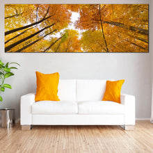 Load image into Gallery viewer, Autumn  Trees  Canvas  Wall  Art  Looking  Up  White  Sky  Living  Room  1  Piece  Canvas  Artwork  Looking  Up  Through  Orange  Forest  Canvas  Print In Living Room
