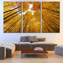 Load image into Gallery viewer, Autumn Trees Canvas Wall Art Looking Up White Sky  3 Piece Canvas Artwork Looking Up Through Orange Forest Canvas Print In Living Room
