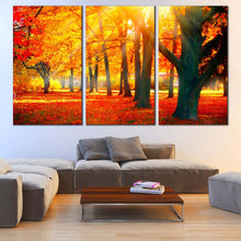 Load image into Gallery viewer, Autumnal Park Canvas Wall Art Yellow Sunbeam Trees Forest Canvas Print Red Autumn Fall Nature Scenery  3 Piece Canvas Set In Living Room
