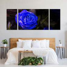 Load image into Gallery viewer, Beautiful Floral Canvas Print Rose Flower 3 Piece Canvas Wall Art Isolated Blue Rose Multiple Canvas For Bedroom
