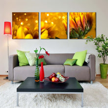 Load image into Gallery viewer, Beautiful Floral Canvas Wall Art Golden Abstract Flower 3 Piece Canvas Yellow Chrysanthemum Flowers Canvas Art Print For Living Room
