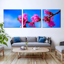 Load image into Gallery viewer, Beautiful Floral Canvas Wall Art Pink Blossoming Branch 3 Piece Canvas Set Blue Sky Flowers Canvas Print For Living Room
