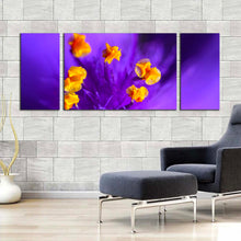 Load image into Gallery viewer, Beautiful Flower Canvas Wall Art Yellow Pistil Floral Art Multi Canvas Isolated Purple Flower 3 Piece Canvas Print In Living Room
