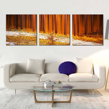 Load image into Gallery viewer, Beautiful Scenery Canvas Wall Art Orange Trees Forest 3 Piece Multiple Canvas Yellow Autumn Nature Canvas Print In  Living Room
