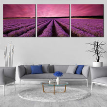 Load image into Gallery viewer, Beautiful  Fields  Canvas  Print  Black  Valensole  Plateau  Landscape  Canvas  Set  Purple  Lavender  Fields  Scenery  Living  Room  3  Piece  Canvas In Living Room
