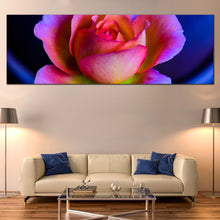 Load image into Gallery viewer, Beautiful  Floral  Canvas  Wall  Art  Blue  Background  Rose  1  Piece  Canvas  Pink  Purple  Rose  Flower  Canvas  Print For Living Room
