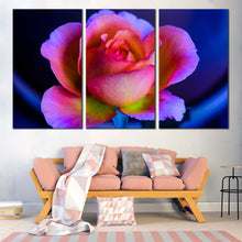 Load image into Gallery viewer, Beautiful Floral Canvas Wall Art Blue Background Rose 3 Piece Multi Panel Canvas Pink Purple Rose Flower Canvas Print For Living Room
