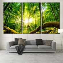 Load image into Gallery viewer, Beautiful Forest Canvas Wall Art Tranquil Scenery Green Forest 3 Piece Canvas Print Yellow Sun Casting Forest  Canvas Set For Living Room
