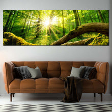 Load image into Gallery viewer, Beautiful  Forest  Canvas  Wall  Art  Tranquil  Scenery  Green  Forest  Living  Room  1  Piece  Canvas  Print  Yellow  Sun  Casting  Forest  Canvas  Set In Living Room
