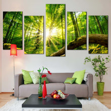 Load image into Gallery viewer, Beautiful Forest Canvas Wall Art Tranquil Scenery Green Forest  5 Piece Canvas Print Yellow Sun Casting Forest Canvas Set For Living Room
