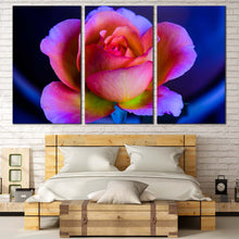 Load image into Gallery viewer, Beautiful Rose Canvas Print Purple Pink Rose Flower Multi Canvas Blue Background Floral  3 Piece Canvas Wall Art For Bedroom
