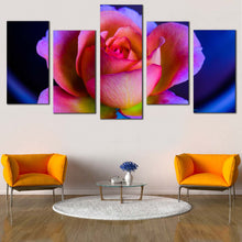 Load image into Gallery viewer, Beautiful Rose Canvas Print Purple Pink Rose Flower Multi Canvas Blue Background Floral  5 Piece Canvas Wall Art In Living room
