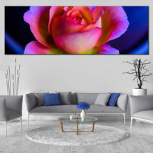 Load image into Gallery viewer, Beautiful  Rose  Canvas  Print  Purple  Pink  Rose  Flower  Wide  Canvas  Blue  Background  Floral  Living  Room  1  Piece  Canvas  Wall  Art In Living Room
