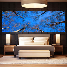 Load image into Gallery viewer, Beautiful  Trees  Canvas  Wall  Art  Looking  Up  Trees  Blue  Sky  Multi  Canvas  Artwork  Brown  Autumn  Trees  Brunches  Bedroom  1  Piece  Canvas  Print For Bedroom
