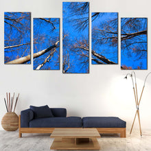 Load image into Gallery viewer, Beautiful Trees Canvas Wall Art Looking Up Trees Blue Sky Multi Canvas Artwork Brown Autumn Trees Brunches  5 Piece Canvas Print For Your Living Room
