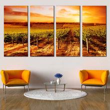 Load image into Gallery viewer, Beautiful Vineyard Canvas Print Yellow Orange Sky Vineyard Landscape Multi Canvas Artwork Green Vinyard Scenery  4 Piece Canvas Wall Art For Living room
