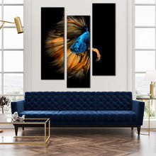 Load image into Gallery viewer, Blue  Crowntail  Betta  Fish  triptych  canvas  print In Living Room
