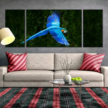 Load image into Gallery viewer, Blue Macaw Parrot Flying Nature Green Forest Background Triptych Triptych Canvas print For Living Room

