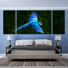 Load image into Gallery viewer, Blue Parrot Bird in Flight Green Forest Background triptych Wall Art In Bedroom
