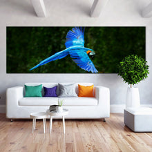 Load image into Gallery viewer, Blue  parrot  macaw  flying  green  forest  1  Piece  Canvas  print In Living Room
