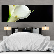 Load image into Gallery viewer, Calla Lilies Canvas Wall Art White Lily Black Background Wide Canvas Isolated Flower Panoramic Canvas Print For Bedroom
