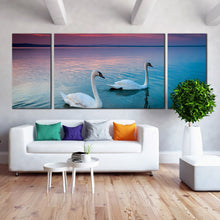 Load image into Gallery viewer, Couple  of  white  swans  swimming  in  balaton  lake  hungary  canvas  wall  art For Living Room
