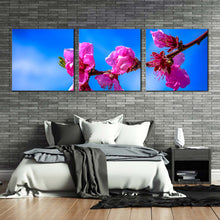 Load image into Gallery viewer, Floral Branch Canvas Print Pink Flowers Blossom Digital Painting 3 Piece Canvas Blue Sky Blossoming Branch Multi Canvas In Bedroom
