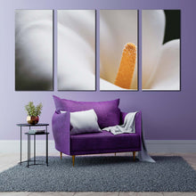 Load image into Gallery viewer, Flower Head Canvas Wall Art White Yellow Calla Lily Flower 4 Piece Canvas Set Fresh Lily Close Up Canvas Print For Living room
