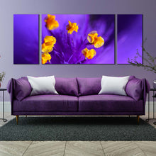 Load image into Gallery viewer, Flowers Closeup Canvas Wall Art Isolated Purple Floral 3 Piece Canvas Print Yellow Pistill Canvas Set For Living Room
