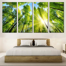 Load image into Gallery viewer, Forest Sky Canvas Wall Art Blue Sky Sunrise Canvas Artwork Looking Up Green Trees  4 Piece Canvas Print For Bedroom

