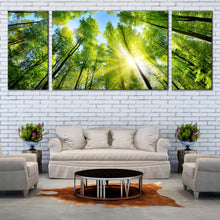 Load image into Gallery viewer, Forest  Sky  Canvas  Wall  Art  Blue  Sky  Sunrise  Canvas  Artwork  Looking  Up  Green  Trees  Living  Room  3  Piece  Canvas  Print In Living Room
