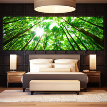 Load image into Gallery viewer, Forest  Sky  Canvas  Wall  Art  Looking  Up  Forest  Canvas  Set  White  Sky  Sunrise  Canvas  Print  Looking  Up  Green  Trees  Bedroom  1  Piece  Multi  Canvas For Bedroom
