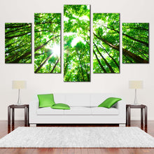 Load image into Gallery viewer, Forest  Sky  Canvas  Wall  Art  Looking  Up  Forest  Canvas  Set  White  Sky  Sunrise  Canvas  Print  Looking  Up  Green  Trees 5  Piece  Multi  Canvas In Living room
