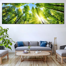 Load image into Gallery viewer, Forest  Sky  Canvas  Wall  Art  Looking  Up  Forest  Wide  Canvas  Looking  Up  Green  Trees  Living  Room  1  Piece  Canvas  Print In Living Room
