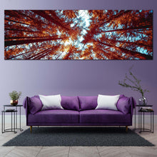 Load image into Gallery viewer, Forest  Sky  Canvas  Wall  Art  Orange  Looking  Up  Through  Forest 1  Piece  Multi  Canvas  Blue  Sky  Autumn  Forest  Sunrise  Canvas  Print For Living Room
