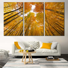 Load image into Gallery viewer, Forest Sky Canvas Wall Art Orange Trees Autumn Forest Canvas Print Looking Up Through Forest 3 Piece Multi Canvas For Living Room
