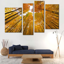 Load image into Gallery viewer, Forest Sky Canvas Wall Art Orange Trees Autumn Forest Canvas Print Looking Up Through Forest 4 Piece Multi Canvas 
