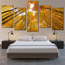 Load image into Gallery viewer, Forest Sky Canvas Wall Art Orange Trees Autumn Forest Canvas Print Looking Up Through Forest 5 Piece Multi Canvas 
