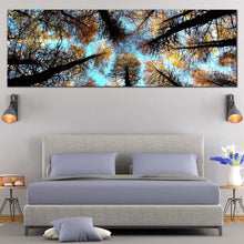 Load image into Gallery viewer, Forest  Sky  Canvas  Wall  Art  Yellow  Trees  Autumn  Forest  Canvas  Print  Looking  Up  Grove  of  Trees  Bedroom  1  Piece  Canvas For Bedroom
