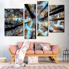 Load image into Gallery viewer, Forest Sky Canvas Wall Art Yellow Trees Autumn Forest Canvas Print Looking Up Grove of Trees  4 Piece Canvas Scotland Blue Sky 
