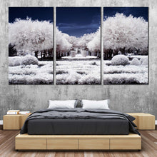 Load image into Gallery viewer, Forest Trees Canvas Print Blue Sky Nature Scenery Multiple Canvas Winter Snow Covered White Trees  3 Piece Canvas Wall Art Winter Autumn Forest Canvas Set For Bedroom
