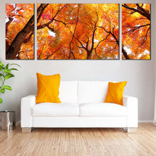 Load image into Gallery viewer, Forest Trees Canvas Wall Art Looking Up Red Orange Trees Multi Canvas Looking Up Trees Brunches  3 Piece Canvas Print For Living room
