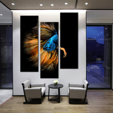 Load image into Gallery viewer, Fullmoon  betta  fish  splendens  3  piece  large  canvas  print For Living Room
