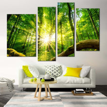 Load image into Gallery viewer, Green Forest Canvas Wall Art Tranquil Scenery Sun Casting Forest Canvas Print Beautiful Yellow Sun Rays Scenery  4 Piece Multiple Canvas 
