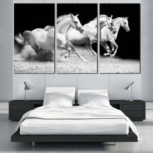 Load image into Gallery viewer, Horses Stallions Canvas Wall Art Herd Of White Grey Horses  3 Piece Canvas Print Galloping Horses Triptych Canvas Set In Bedroom
