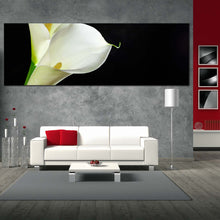 Load image into Gallery viewer, Isolated Flower Canvas Print Calla Lilies 1 Piece Canvas Wall Art White Lily Black Background Canvas Art In Living Room
