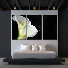 Load image into Gallery viewer, Isolated Flower Canvas Print Calla Lilies 3 Piece Canvas Wall Art White Lily Black Background Multiple Canvas For Bedroom
