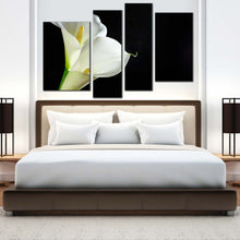 Load image into Gallery viewer, Isolated Flower Canvas Print Calla Lilies 4 Piece Canvas Wall Art White Lily Black Background Multiple Canvas
